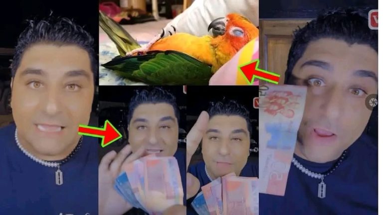 White Man Cries Foul After Buying “Sleeping” Parrot in Kumasi