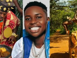 Peller Vows to Surpass IShowSpeed, Declares Ambition to Become World’s Biggest Streamer