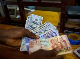 Ghana Cedi Shows Signs of Stability Against Dollar Amid Economic Reforms