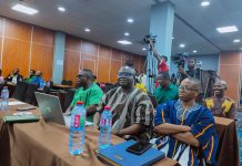10% Sanitation Fund Under DACF Not Enough – Select Committee