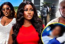 Nana Akua Addo: Husband Arrested Amid Domestic Abuse Allegations